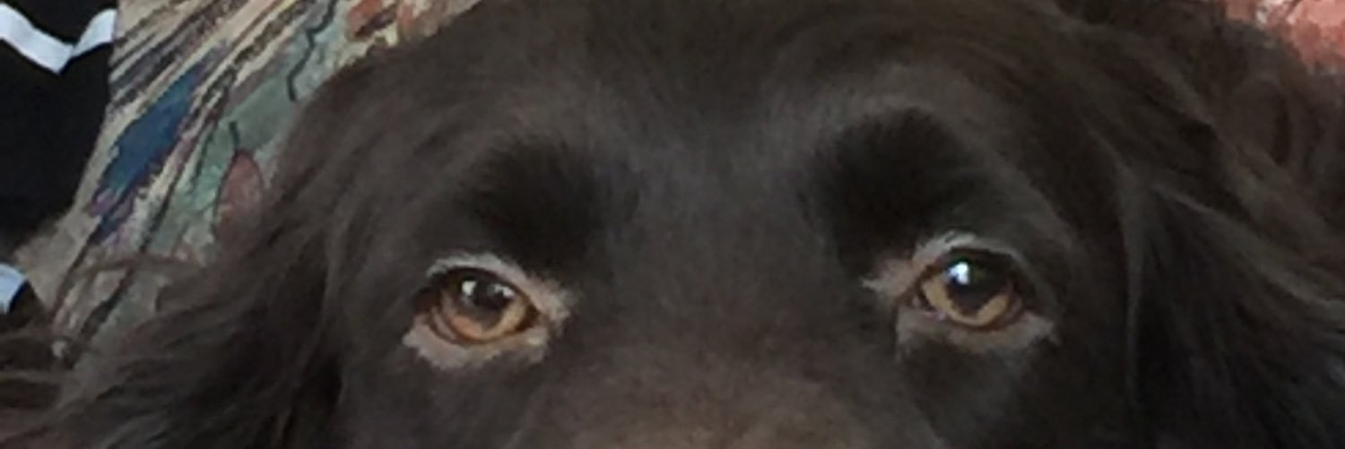 Gwen Hargrove ☮️🟧 banner