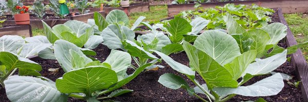 BlackChurchFSN Profile Banner