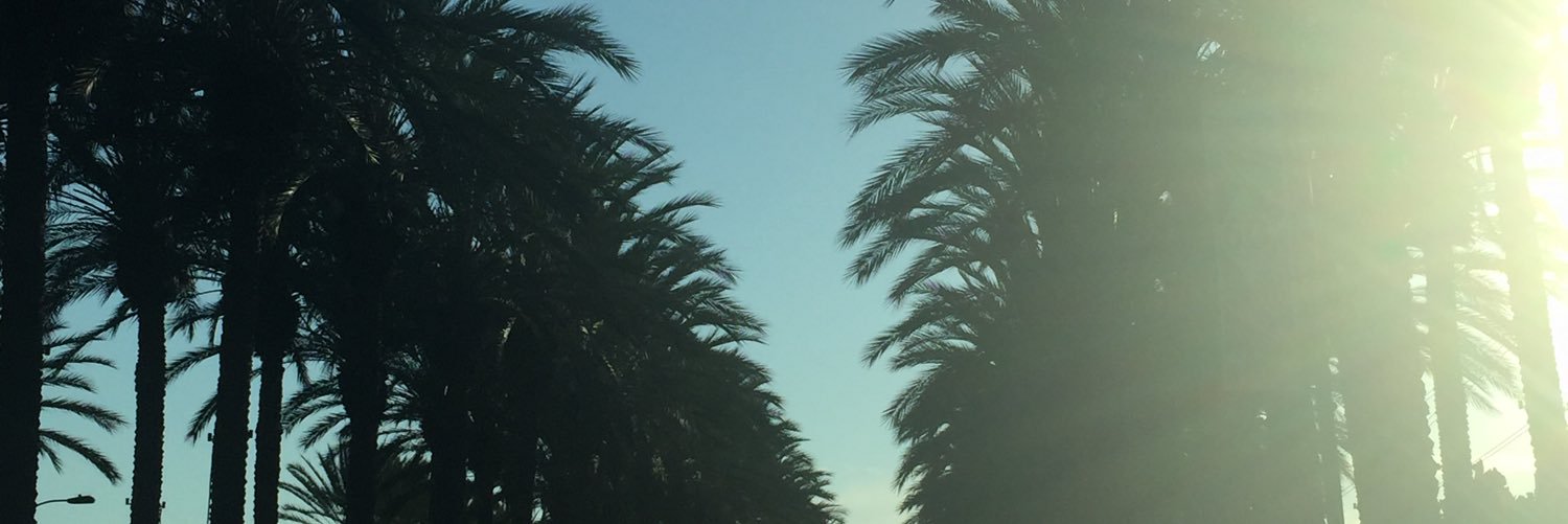 maddyhill49's profile banner image