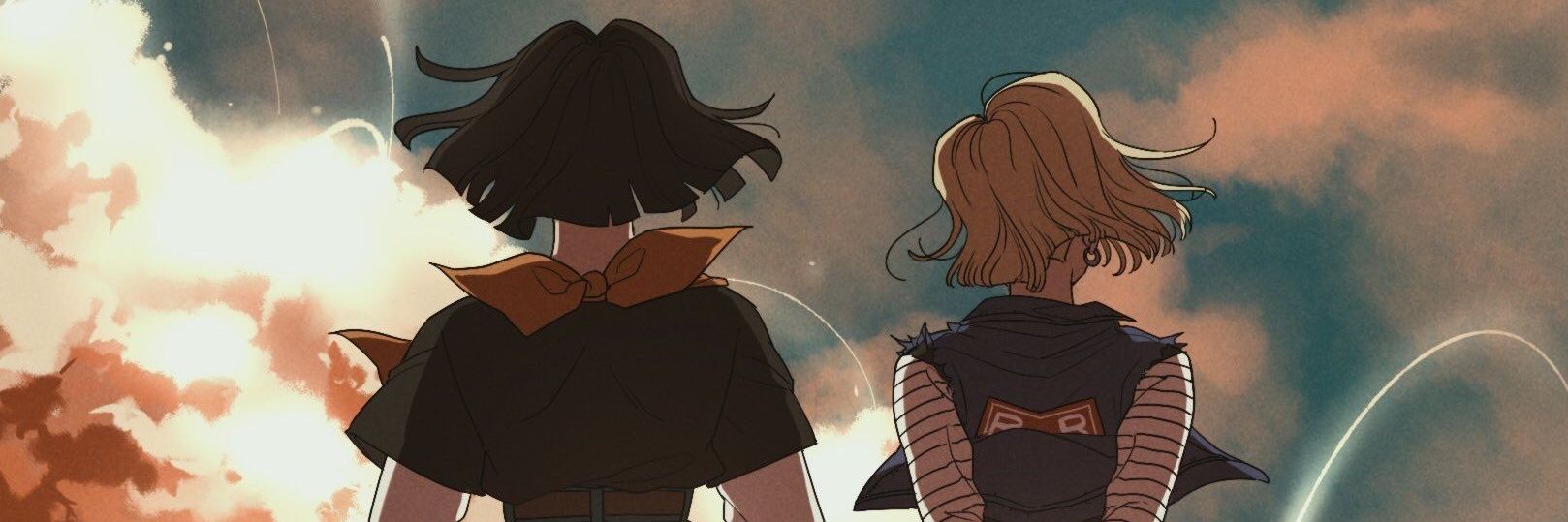 FAndroid17's profile banner image