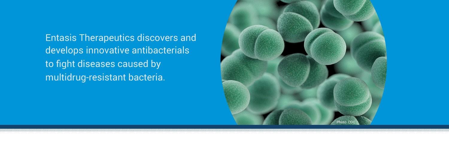Entasis Therapeutics banner