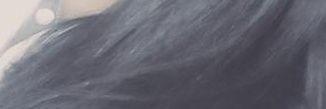 Sinan Turan banner