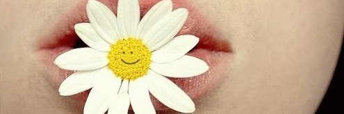 𝔂𝓿𝓮 ˙ω˙ banner