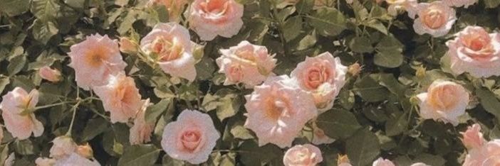 𝓙𝓸𝓪 banner