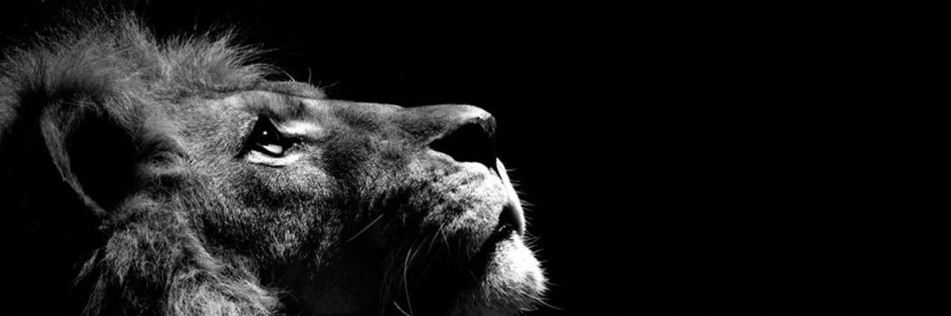 oscarsagito's profile banner image