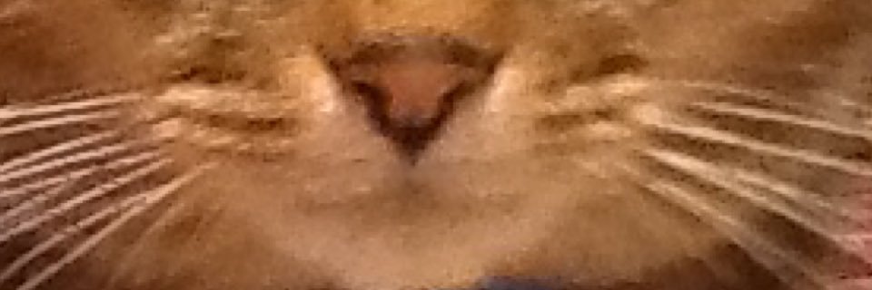 knighto8's profile banner image