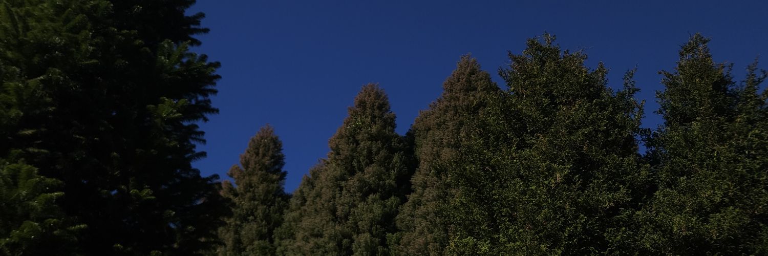 CainanSa's profile banner image