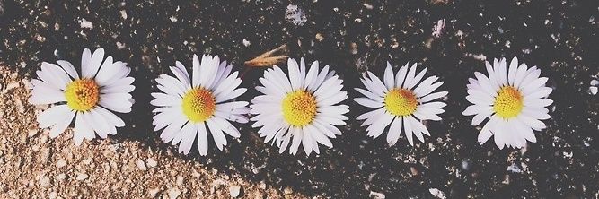 JimenezNako's profile banner image