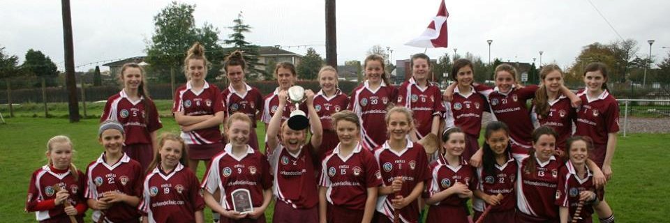 Bishopstown Camogie banner