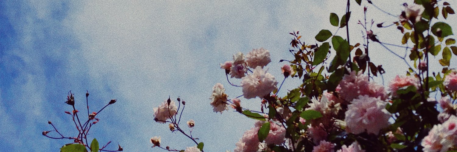 solicitmusic's profile banner image