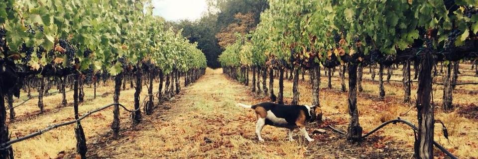 Melka Estates banner