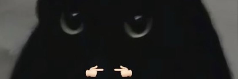 Cat__delights7's profile banner image