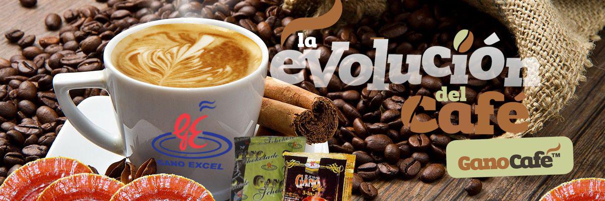 ganoexcelchile's profile banner image