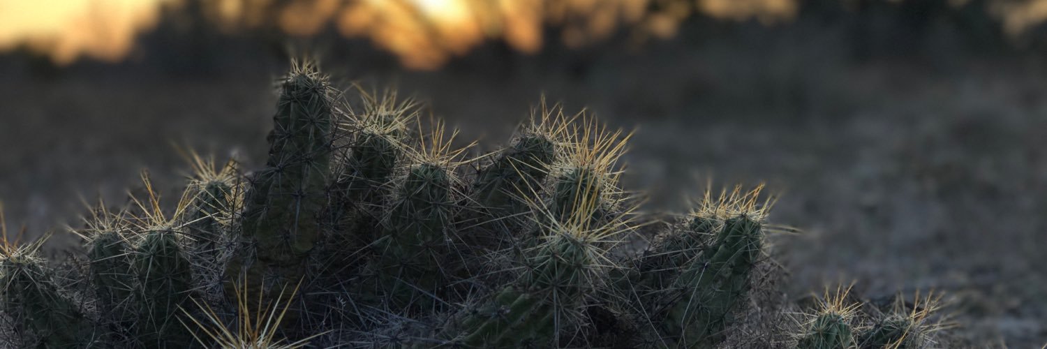 CorieBWilliams's profile banner image