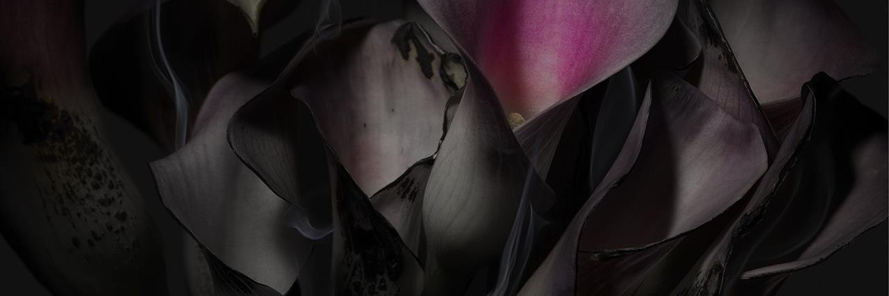 findyourmood's profile banner image