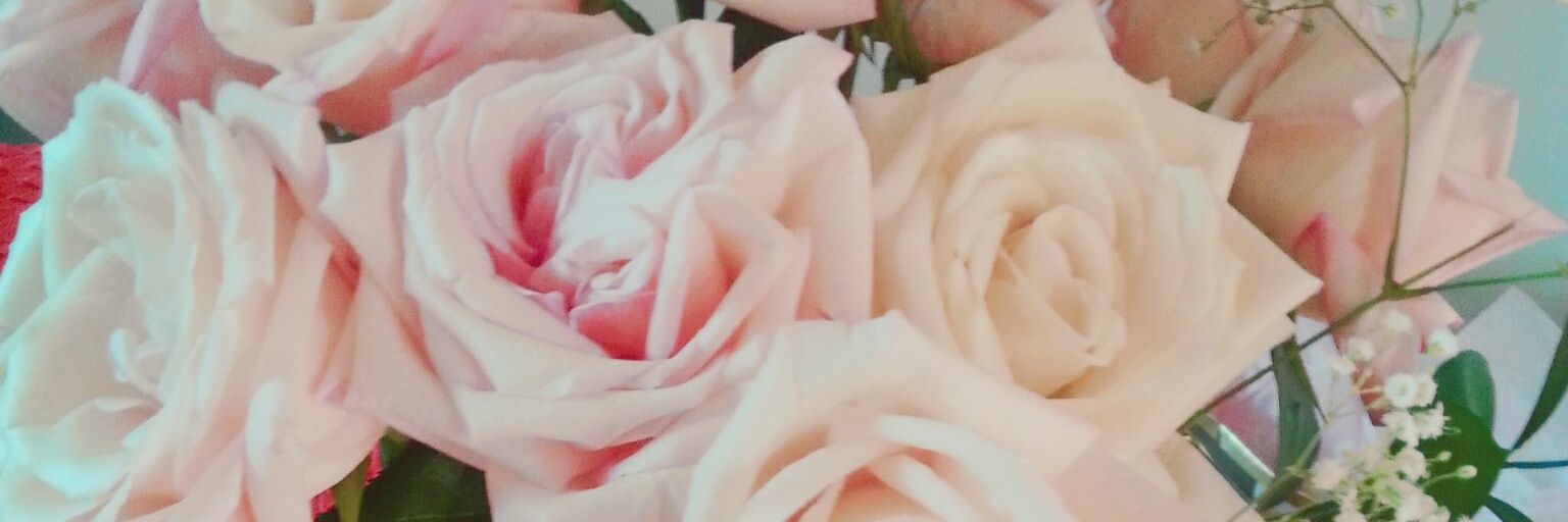 Emma_BrantZ's profile banner image