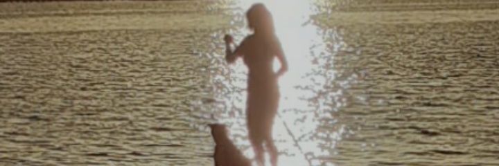 Steve Evans, Still Deaf, Still not Dumb banner