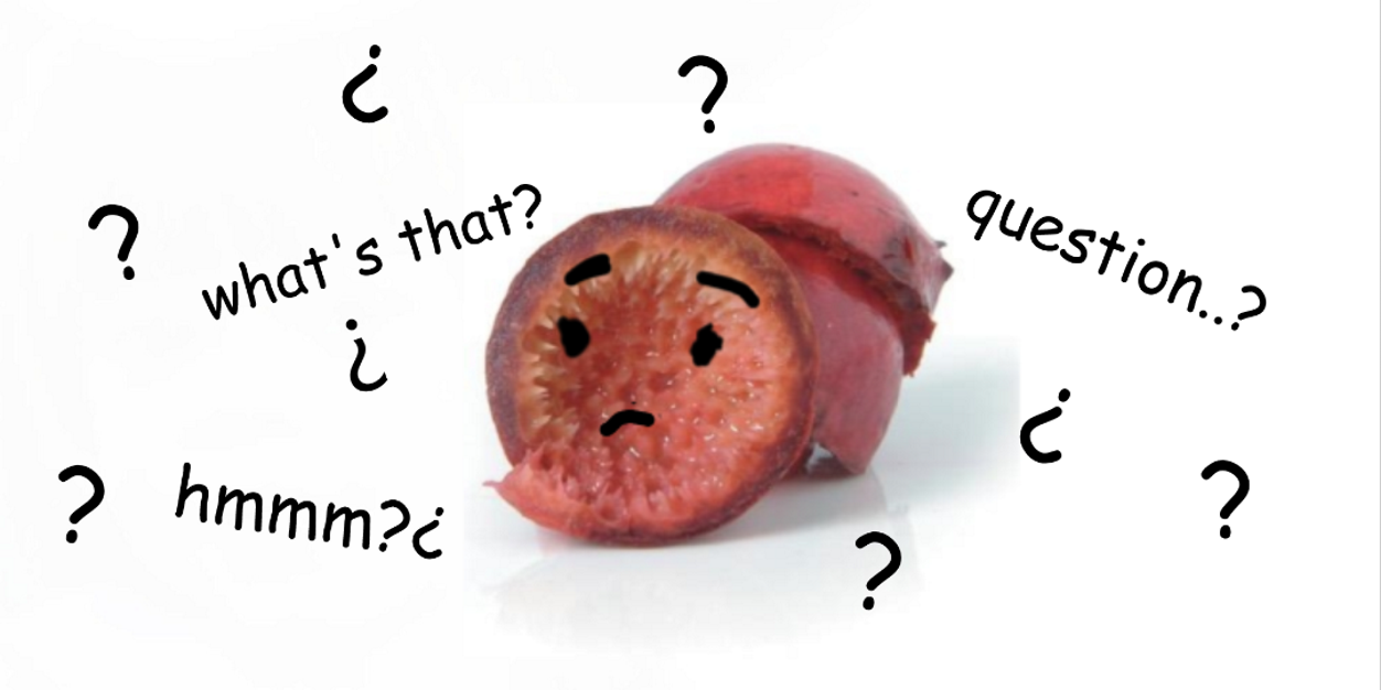 questinablequan's profile banner image