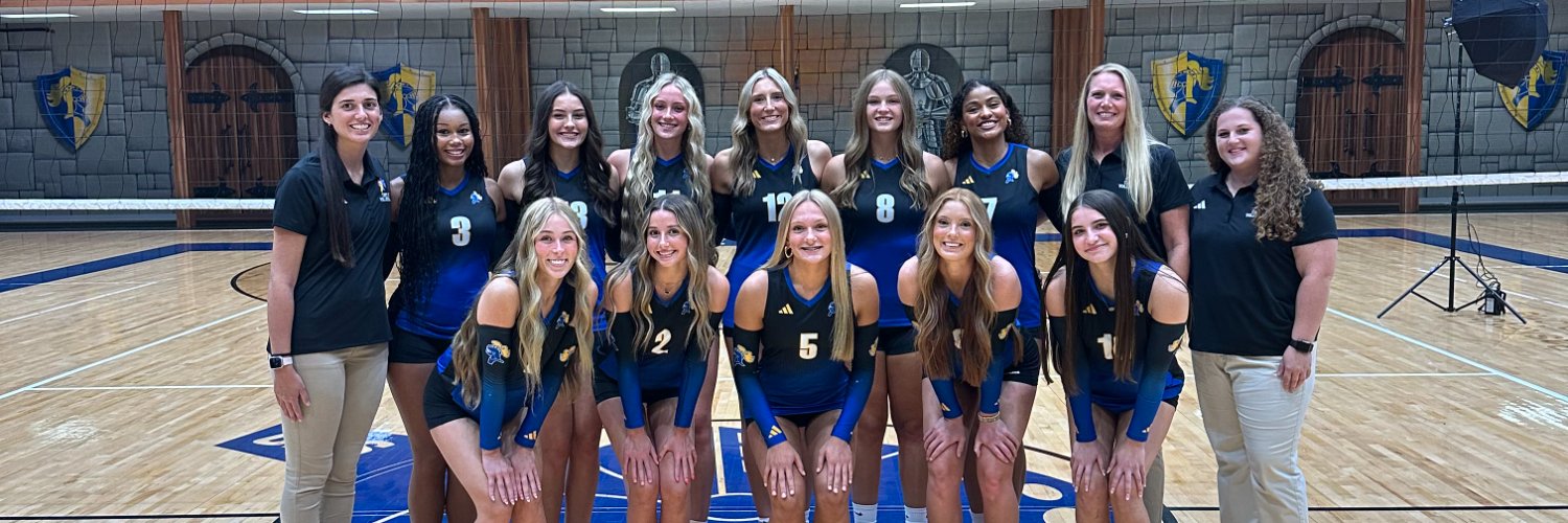 Castle Volleyball banner
