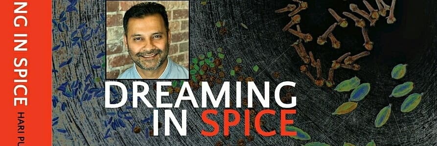 dreaminginspice's profile banner image