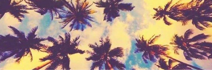 annntu03's profile banner image