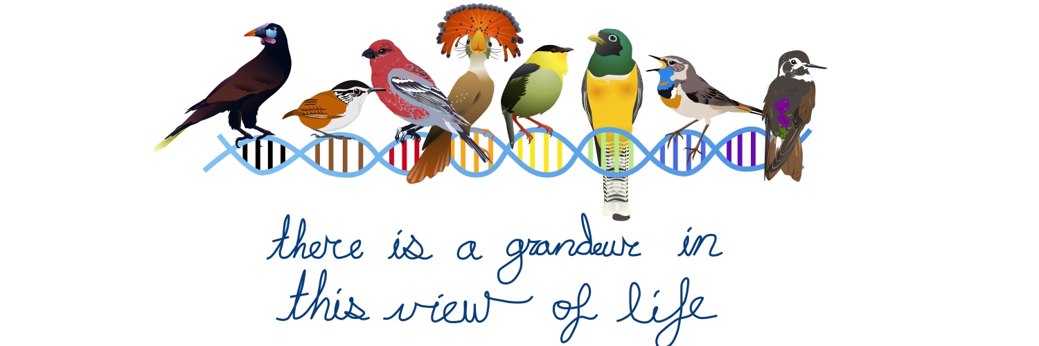 Jess McLaughlin, PhD (they/them) banner