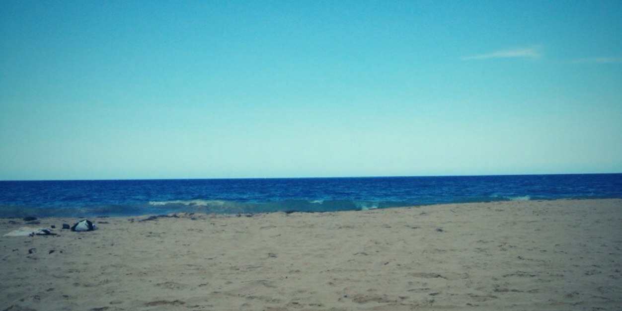 NicoleHunkeler's profile banner image