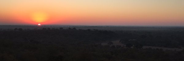 MikeBailey83 Profile Banner