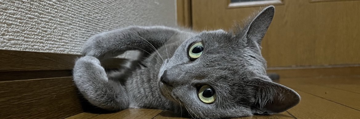 ciro_075's profile banner image
