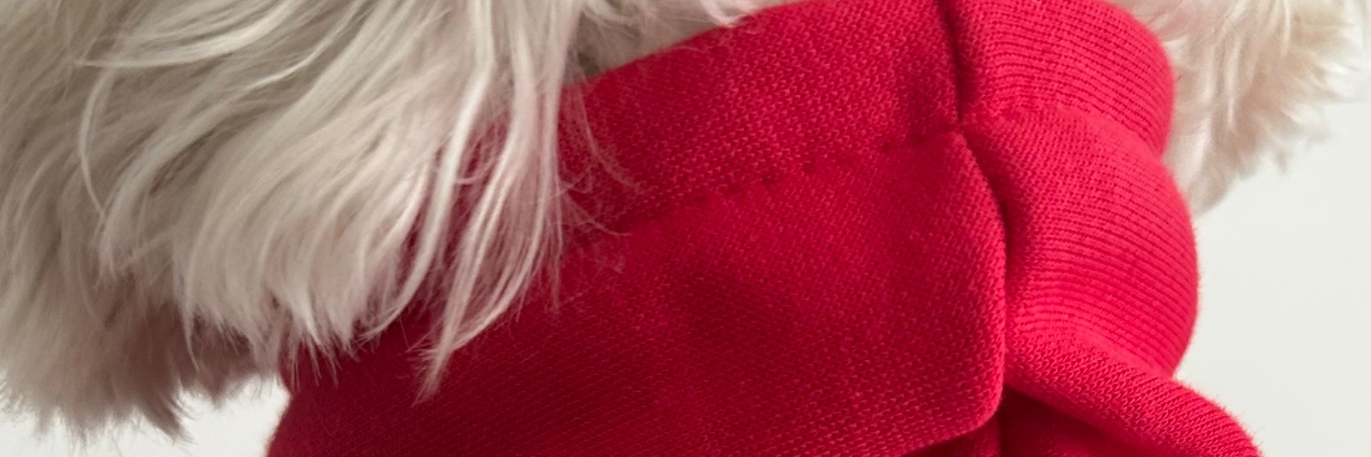 theasiamone's profile banner image