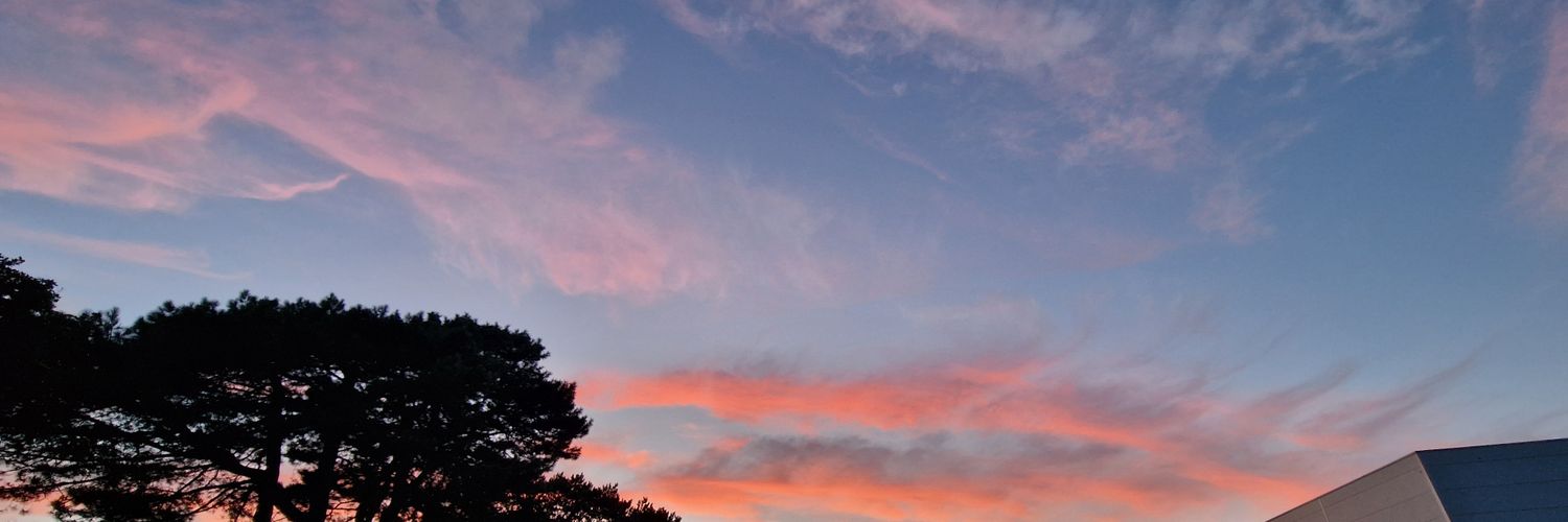 dangi1991's profile banner image