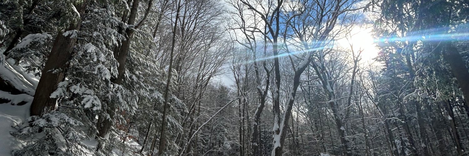 Owen Sound Tourism banner