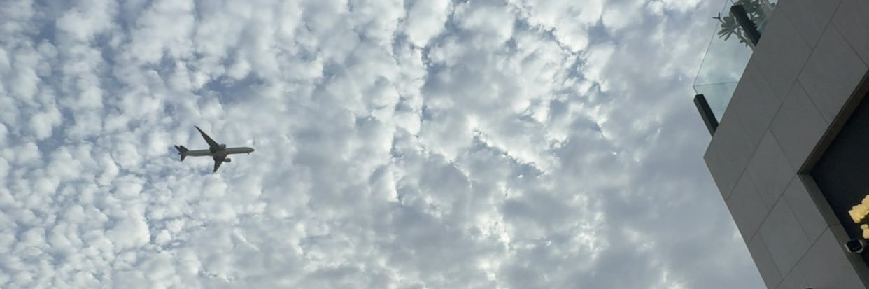 sne11191's profile banner image