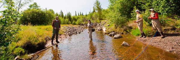 MichiganTechBio Profile Banner