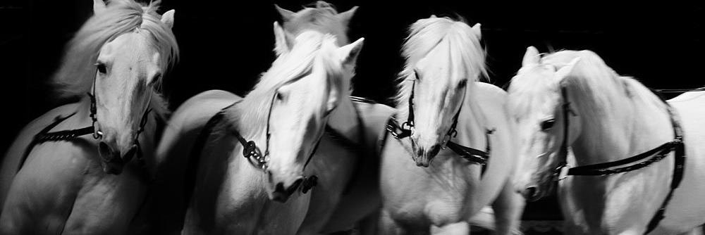 vickydemou's profile banner image