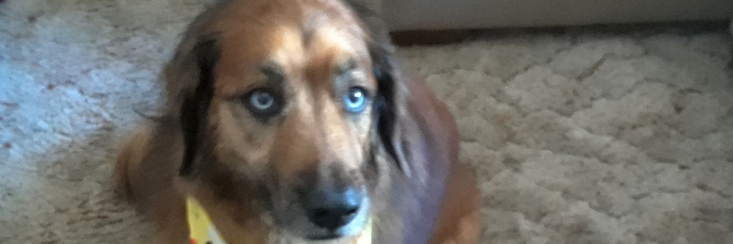 RobertManolatos's profile banner image