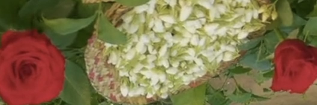 د.عائشة يحيى الحكمي banner