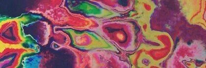 danielaams's profile banner image