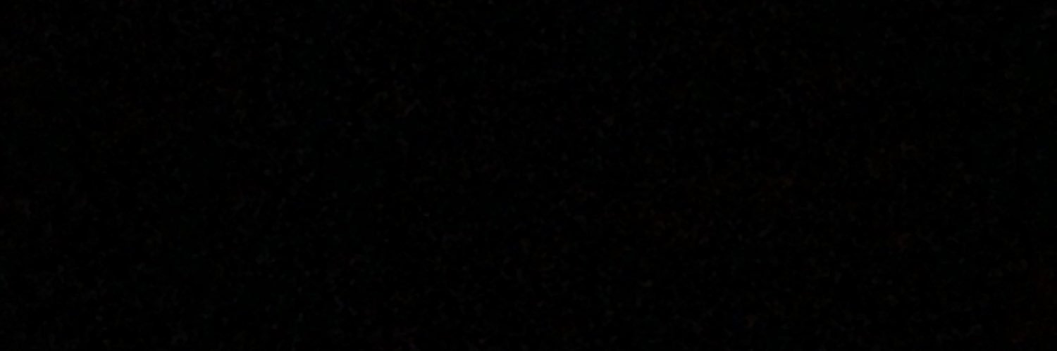 LavishRe's profile banner image