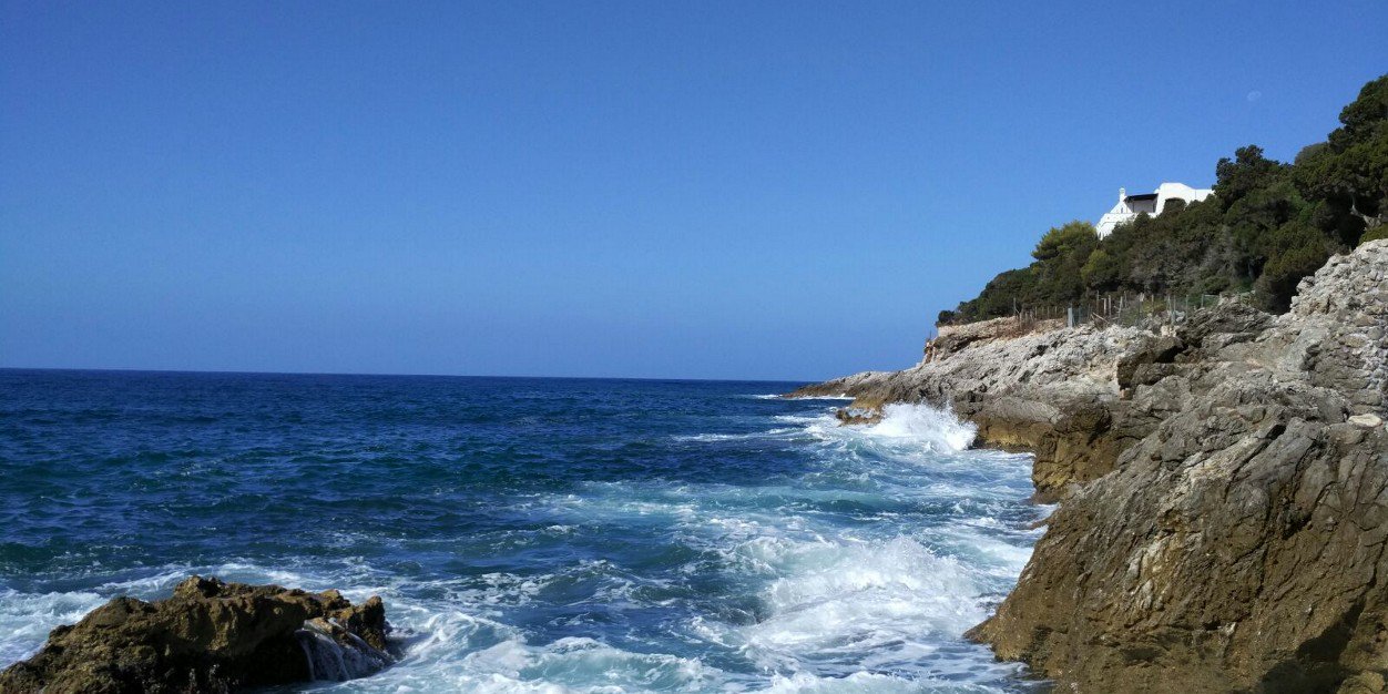 Daniela Iuppa banner