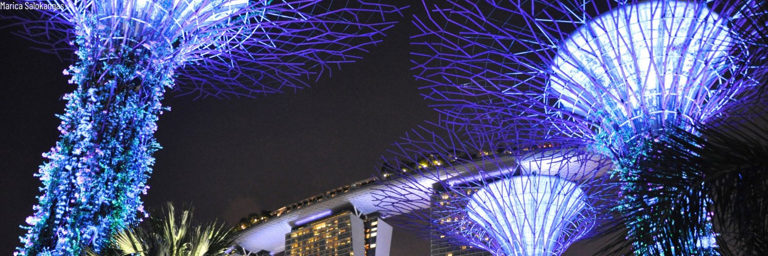 Finland in Singapore banner