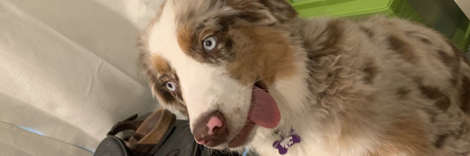 Logan Zabel 🌾🌾 banner