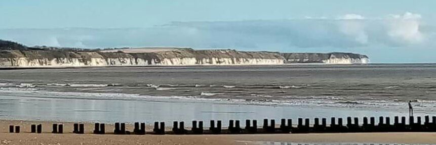 Judy Singleton banner