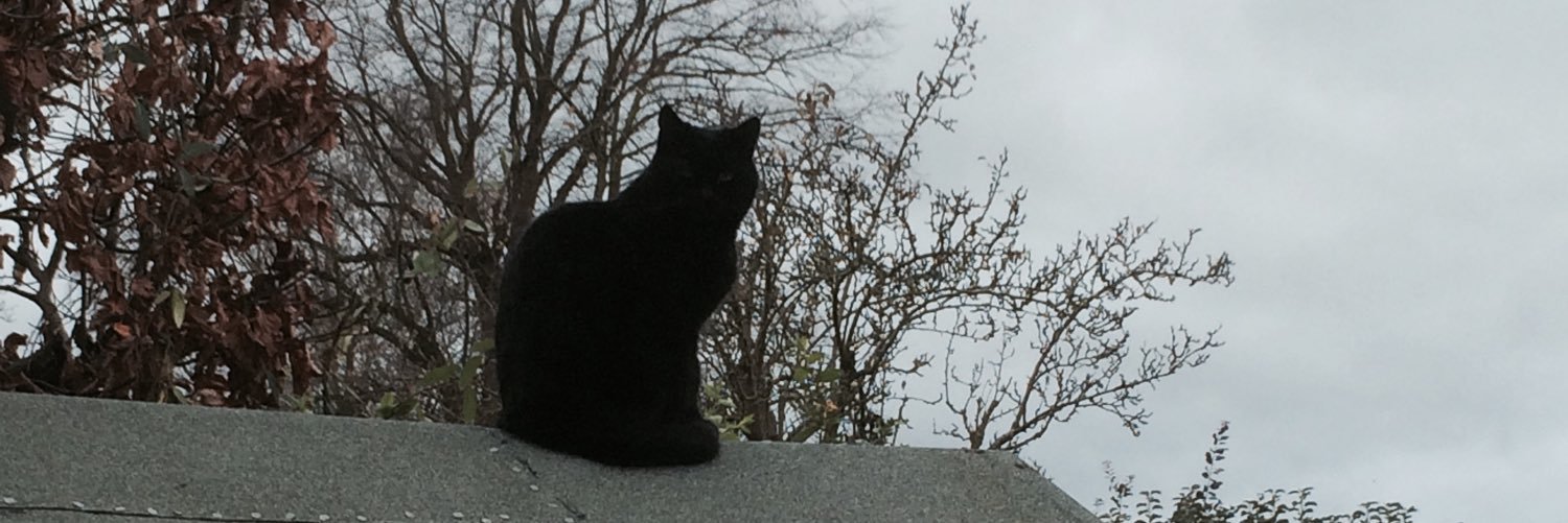 Apraxin1757's profile banner image