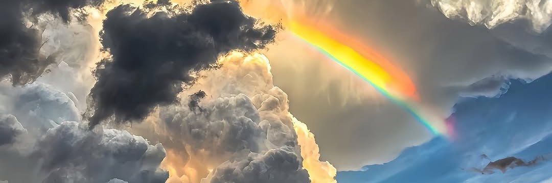 BasmalaAlaa28's profile banner image