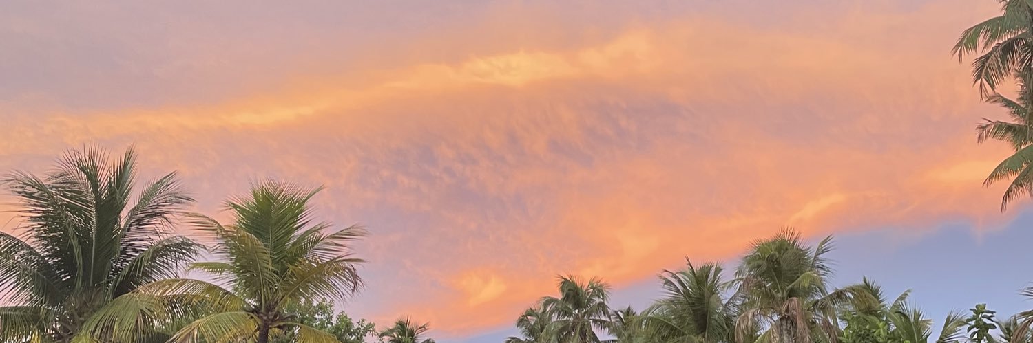 marinabuarque_'s profile banner image