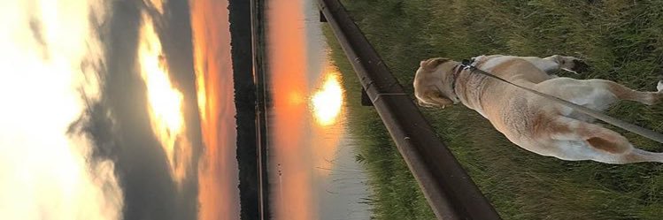 ash__pierce's profile banner image