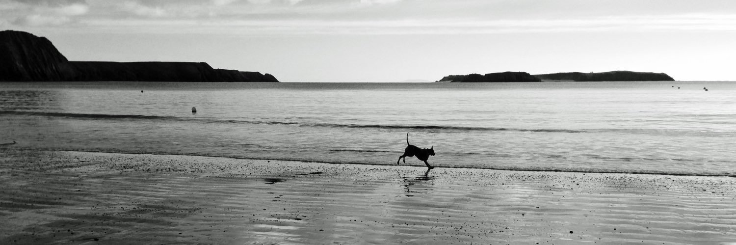 Adam_Rowland82's profile banner image