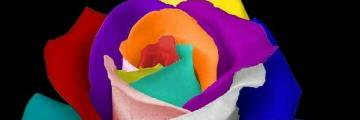 Helm1419's profile banner image