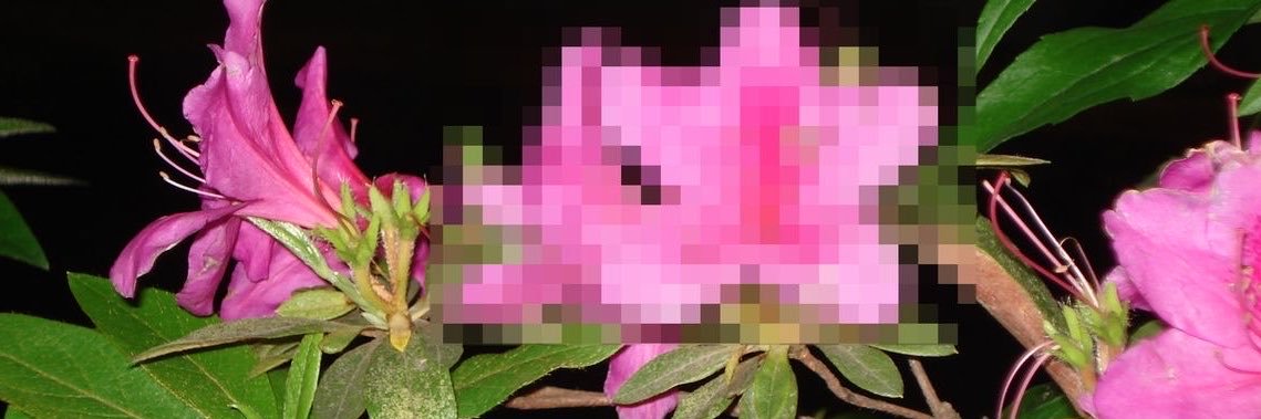 ijuiceei's profile banner image